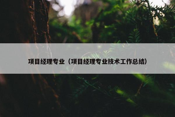 项目经理专业（项目经理专业技术工作总结）