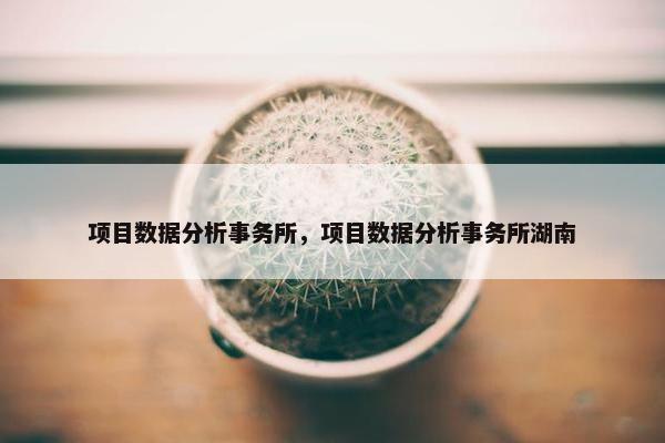 项目数据分析事务所，项目数据分析事务所湖南