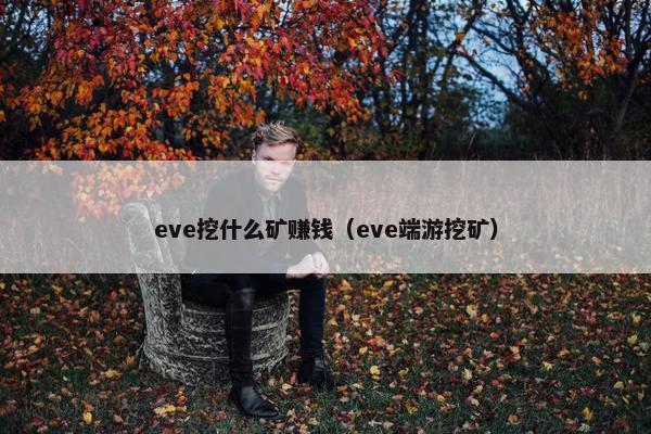 eve挖什么矿赚钱（eve端游挖矿）