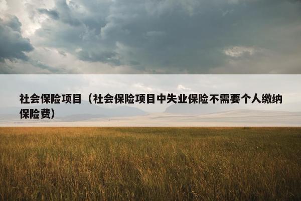 社会保险项目（社会保险项目中失业保险不需要个人缴纳保险费）