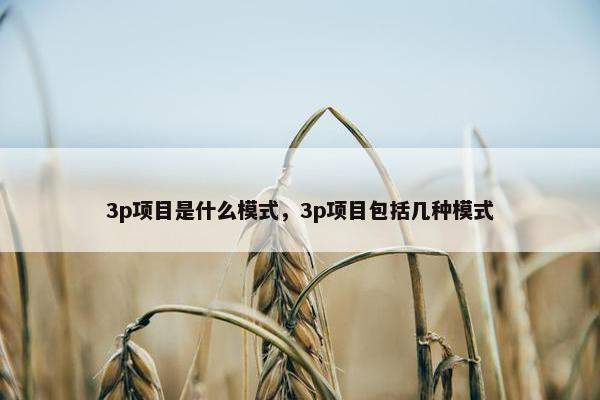 3p项目是什么模式，3p项目包括几种模式