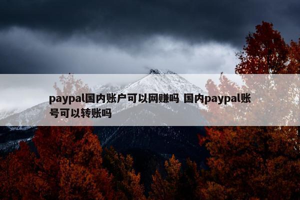 paypal国内账户可以网赚吗 国内paypal账号可以转账吗