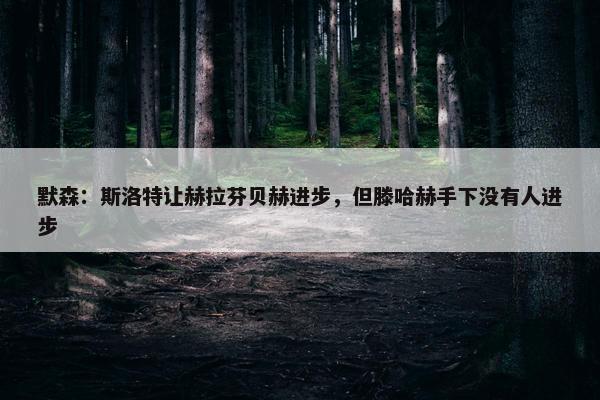 默森：斯洛特让赫拉芬贝赫进步，但滕哈赫手下没有人进步