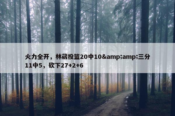 火力全开，林葳投篮20中10&amp;三分11中5，砍下27+2+6